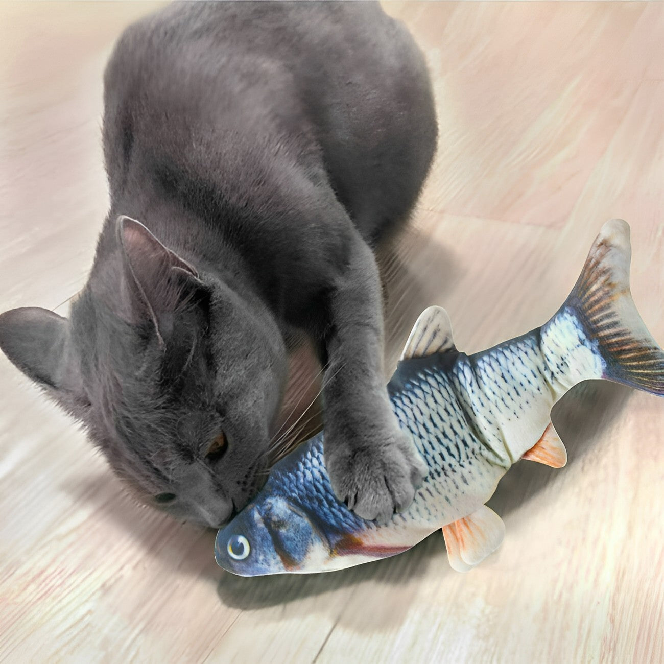 Flopping Fish toy