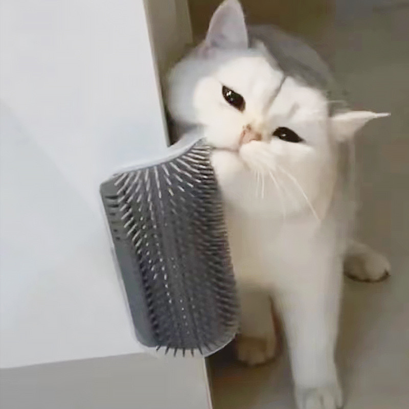 Cat Corner Massager