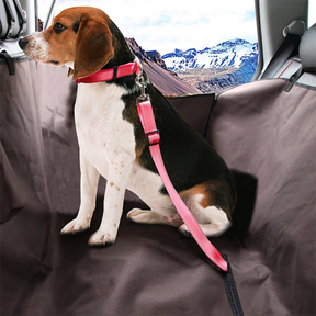 Dog Car Seat Belt