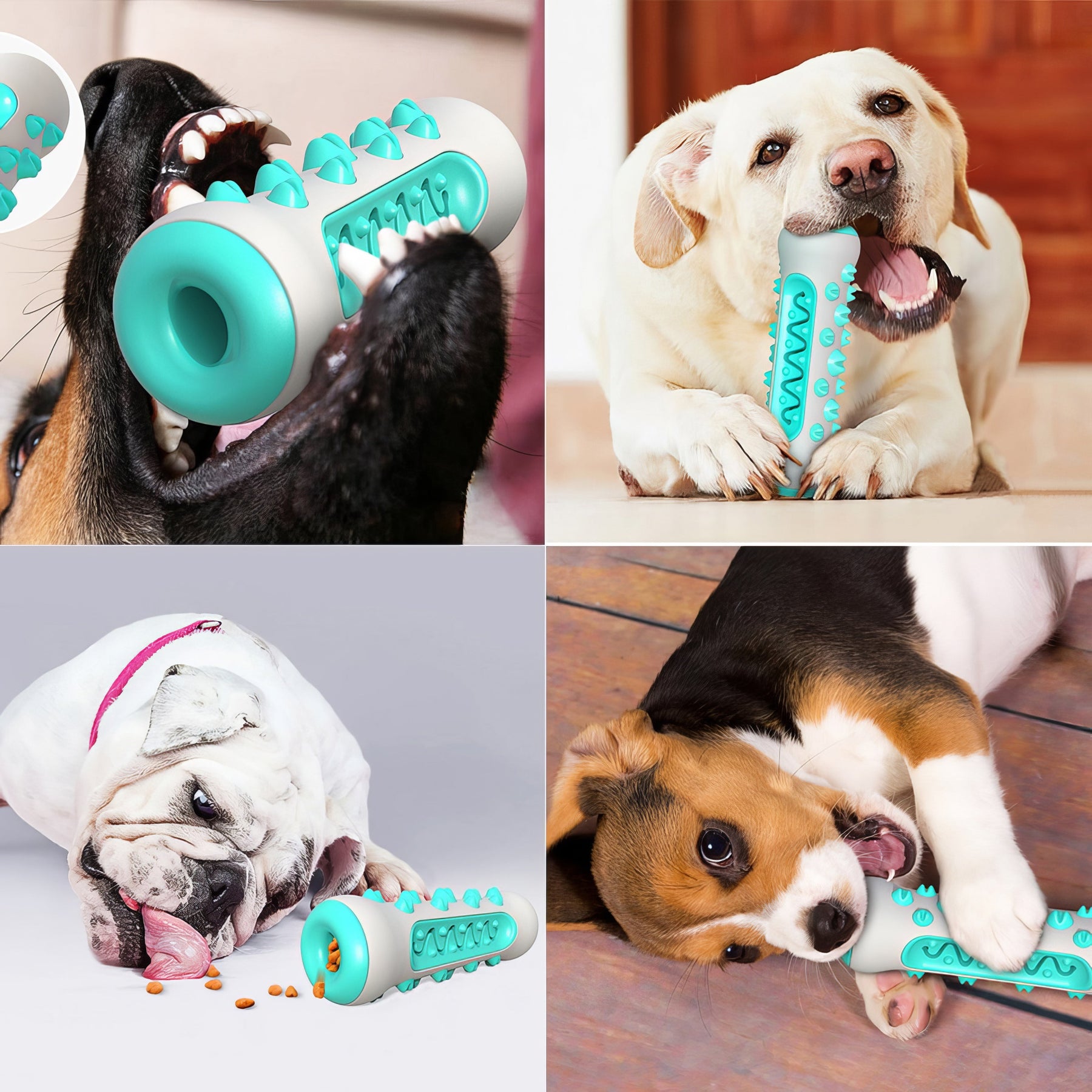 Chewing & Cleaning Toy