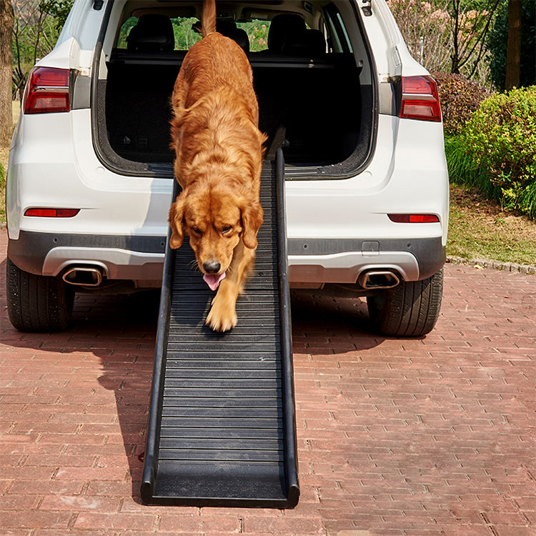 Portable Dog Car Ramp