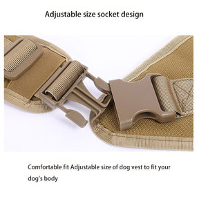 Dog Jacket with leash