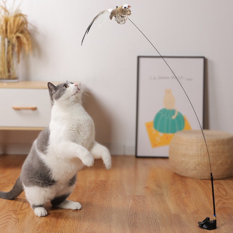 Bird Stimulation Cat Toy