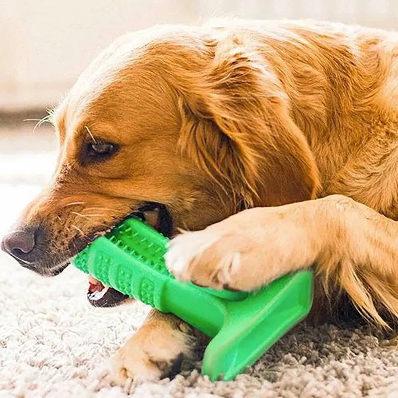 Dog Toothbrush Cleaner Toy