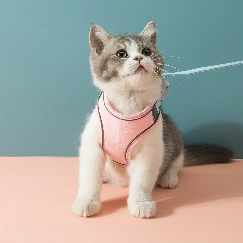 Harness & Leash Set for Cats