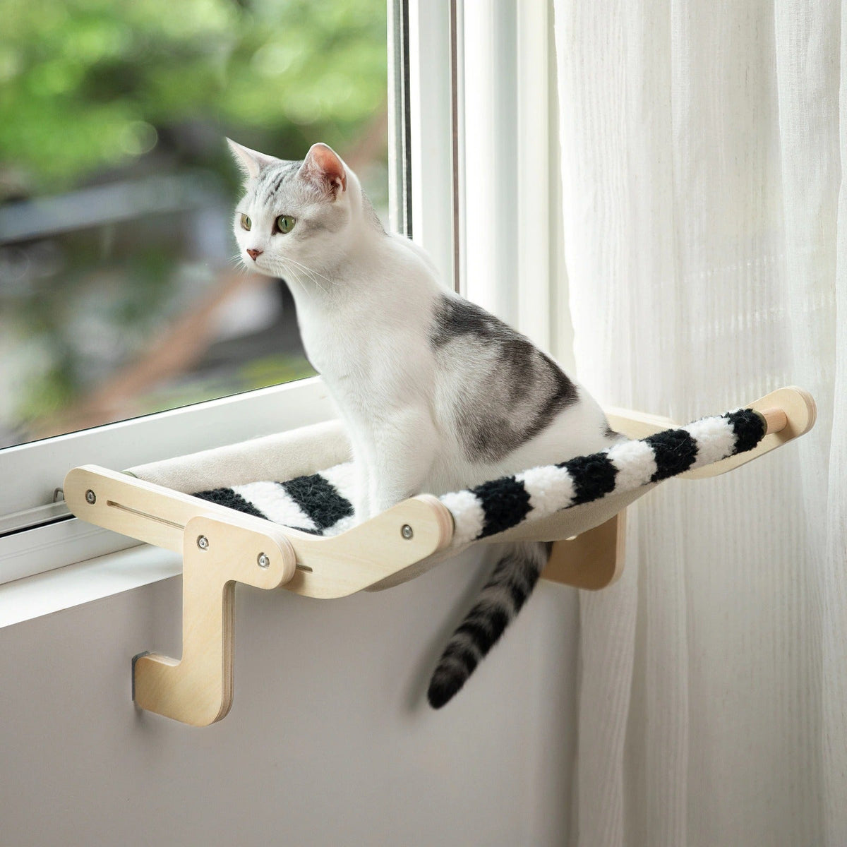 Cats sitting stand