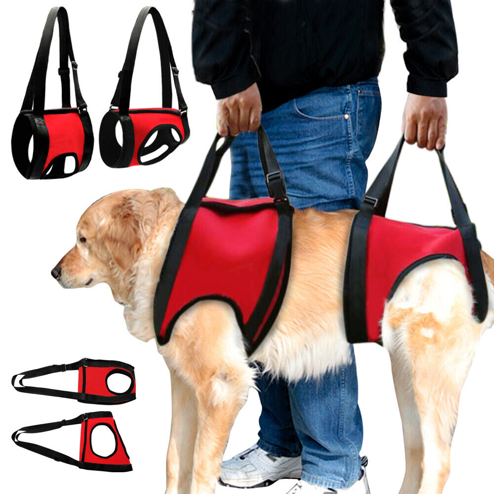 Emergency Dog Carrying Rescue Sling